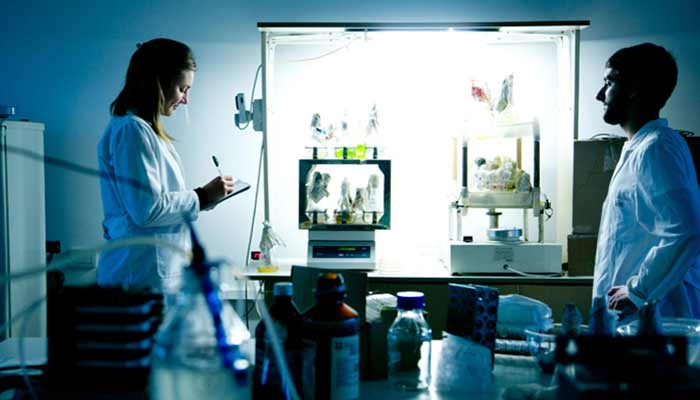 VINCULAMOS INVESTIGADORES